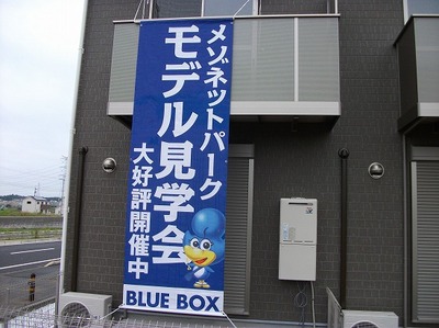 DSCF3737.jpg