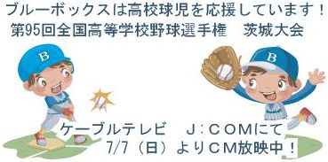 ラベル（高校野球）.pdf.jpg