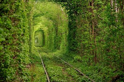愛のトンネル.jpg