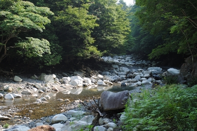 池田写真.jpg