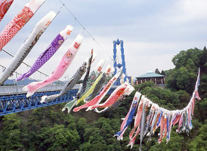 koinobori1.jpg