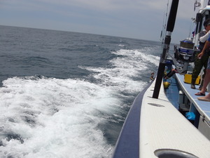 IMGA0946.JPG
