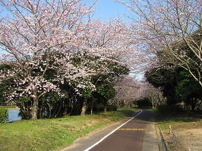 春の神之池.jpg