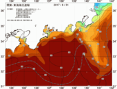 夏の気温と海水温