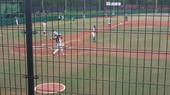 野球観戦