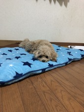 【早得プラン】のご紹介☆