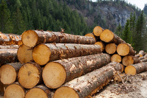 depositphotos_11249659-stock-photo-timber-logging-in-austrian-alps[1].jpg